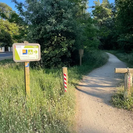 L'etoile Des Pins